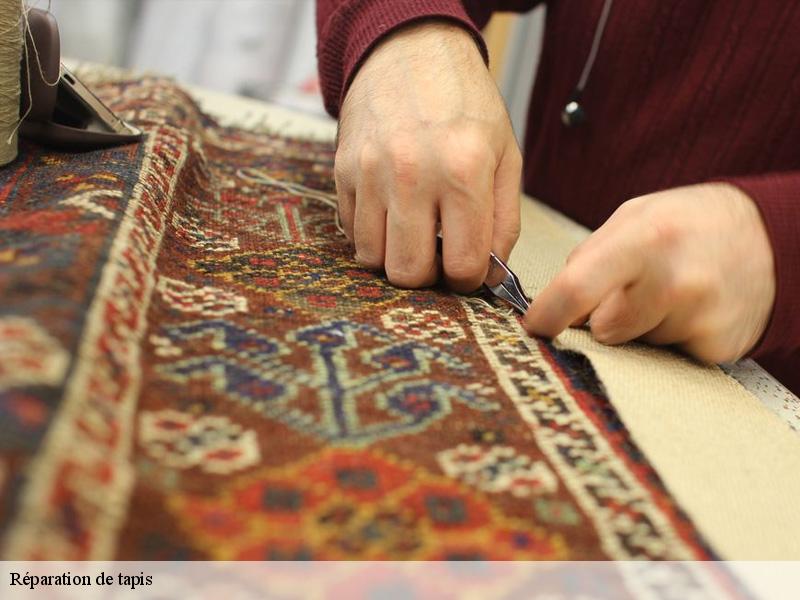 Réparation de tapis paris-8-75008 Le Village du Tapis