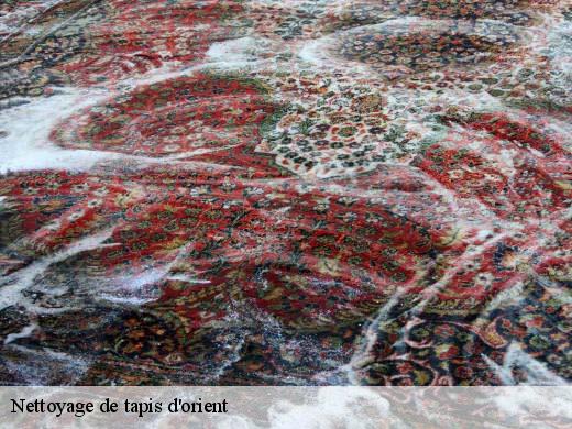 Nettoyage de tapis d'orient gennevilliers-92230 Le Village du Tapis