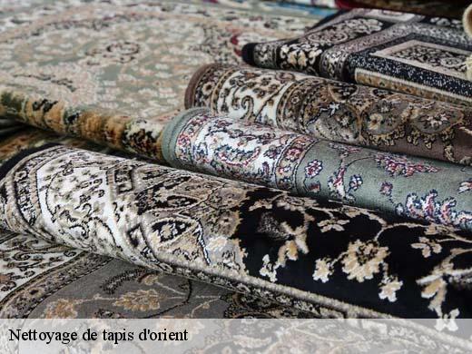 Nettoyage de tapis d'orient gennevilliers-92230 Le Village du Tapis