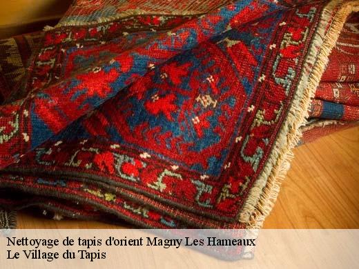 Nettoyage de tapis d'orient magny-les-hameaux-78114 Le Village du Tapis