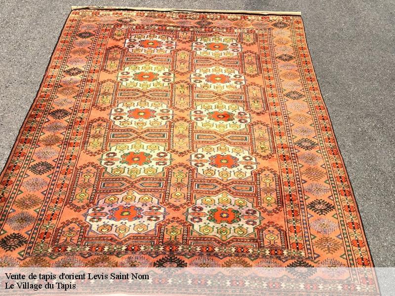 Vente de tapis d'orient levis-saint-nom-78320 Le Village du Tapis