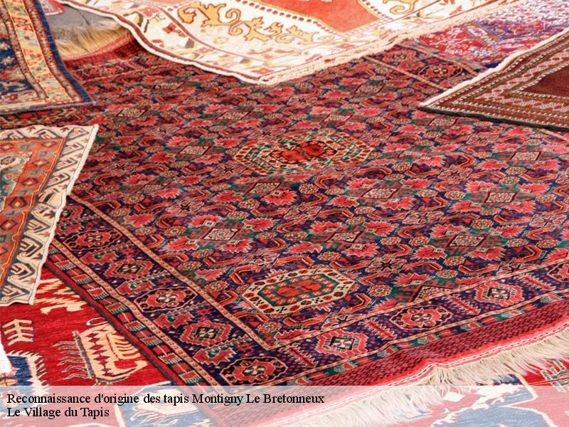 Reconnaissance d'origine des tapis montigny-le-bretonneux-78180 Le Village du Tapis