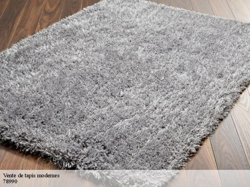 Vente de tapis modernes elancourt-78990 Le Village du Tapis