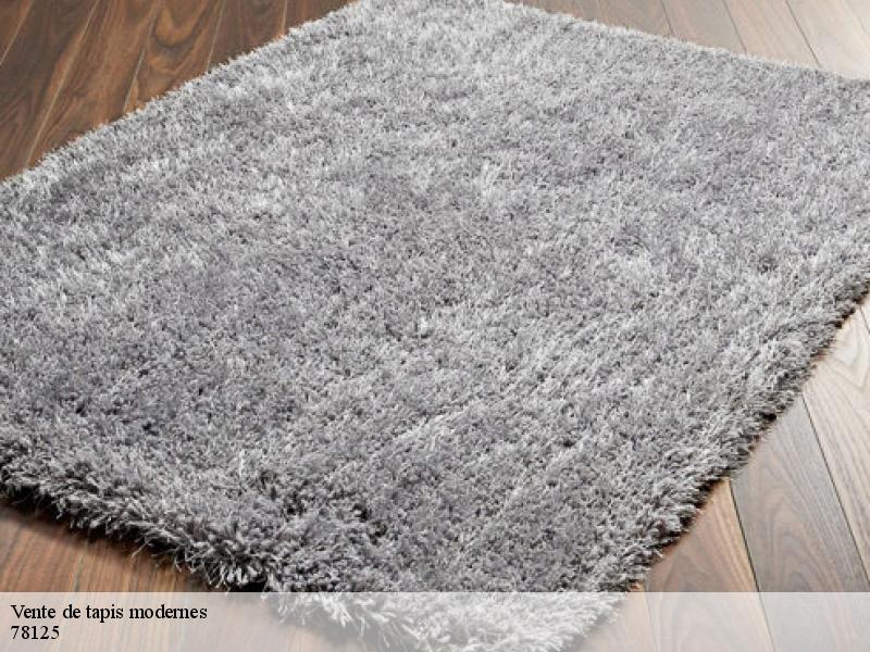 Vente de tapis modernes poigny-la-foret-78125 Le Village du Tapis
