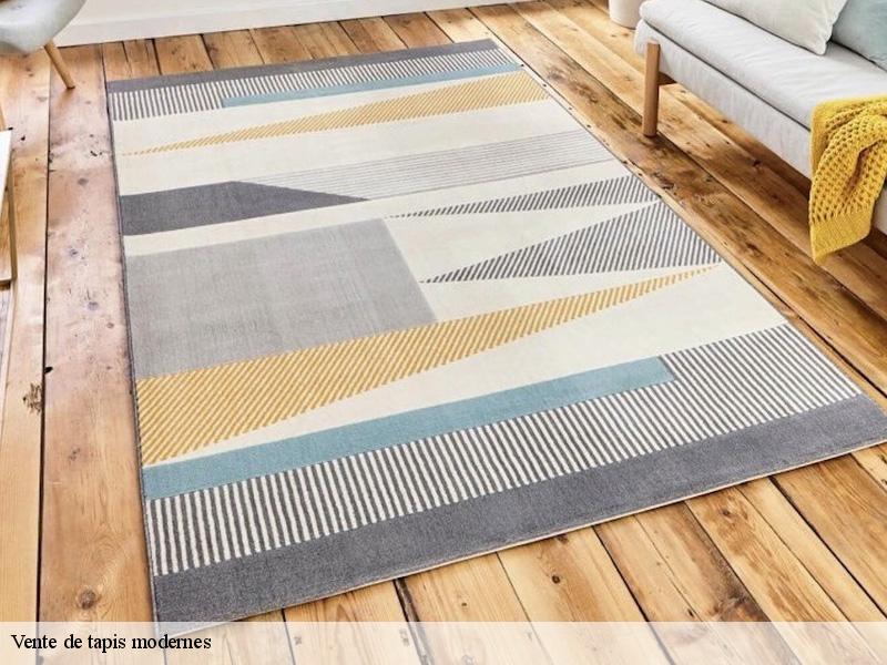 Vente de tapis modernes tessancourt-sur-aubette-78250 Le Village du Tapis