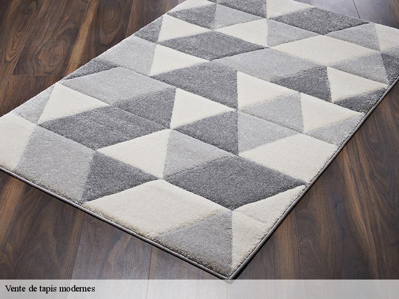 Vente de tapis modernes tessancourt-sur-aubette-78250 Le Village du Tapis