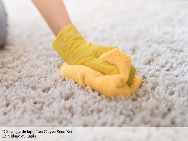 Détachage de tapis les-clayes-sous-bois-78340 Le Village du Tapis