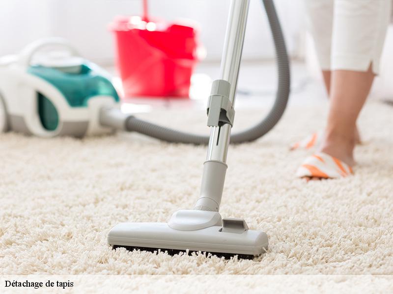 Détachage de tapis les-clayes-sous-bois-78340 Le Village du Tapis