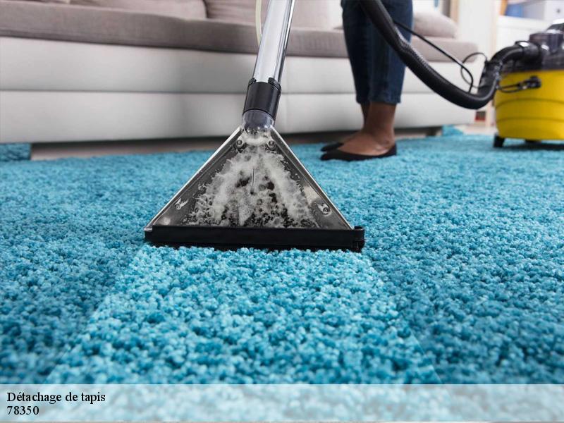 Détachage de tapis jouy-en-josas-78350 Le Village du Tapis