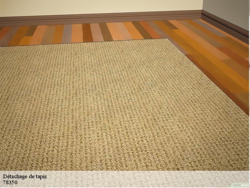 Détachage de tapis jouy-en-josas-78350 Le Village du Tapis