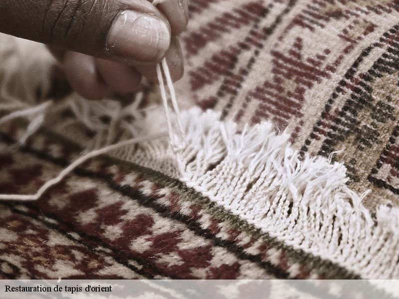 Restauration de tapis d'orient saint-remy-les-chevreuse-78470 Le Village du Tapis